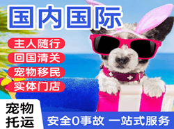 大水泊机场快递国际宠物托运 【国